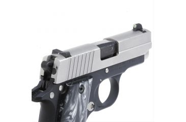 Image of XS Sight Systems DXW Standard Dot for Sig P238, Tritium Front, White Stripe Rear SI-0007P-4