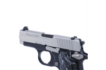 Image of XS Sight Systems DXW Standard Dot for Sig P238, Tritium Front, White Stripe Rear SI-0007P-4