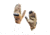 A7 Defense Python Operator Tactical Gloves, Tan, Medium, A7PTGTM