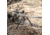 ACCU-TAC FC-G2 F-Class Bipod, Flat Black, FCB-G200