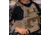 Ace Link Armor KSAV Koursores Level IIIA Standard Bulletproof Vest, Black, One Size, KSAV-3A-BLK-S-2XL