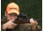 Aimpoint 9000L Red Dot Reflex Sight, 2 MOA Dot Reticle, Black, Semi Matte, Anodized, 11419