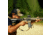 Aimpoint Duty RDS MR Reflex Red Dot Sight, 1x39mm, 2 MOA Dot/65 MOA Circle, Multi Reticle, Black, 200985