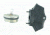 AimSHOT Xenon Illuminator Replacement Bulbs