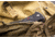 Al Mar Knives Mini S.E.R.E. 2020 Night G Series Folding Knife, Spring Assist, D2, 58HRC, Ti-Black, 3 in, Traditional, G10, Black, AMK2204