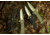 Al Mar Knives Mini S.E.R.E. 2020 Night G Series Folding Knife, Spring Assist, D2, 58HRC, Ti-Black, 3 in, Traditional, G10, Black, AMK2204