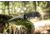 Al Mar Knives Ultralight Talon Folding Blade Knife, 2.75 in, 8 Cr Traditional Edge, Black, AMK4122