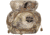 Alaska Guide Creations Kodiak Cub Max Gen L Binocular Harness, Kryptek Highlander, KCM-L-KRY