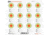 ALLEN 15616 EZ AIM 13.5X13.5 PAPER LOAD TRGT 25PK