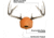 Allen EZ-Mount Showcase Horn Mount Kit, Oak, Deer, 5601