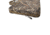 Allen Gear Fit Pursuit Punisher 52-Inch Shotgun Case, Realtree Max-5 Camo, 656-50