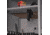 Allen Magnetic Firearm Mount, Black, 18530