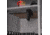 Allen Magnetic Firearm Mount, Black, 18530