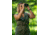 Alpen Wings 10x42 Binocular, BAK4, Multicoated, Dark Green, Medium Roof, 546