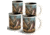 American Expedition Collage Coffee Mugs, Set of 4, Mustang 4012076