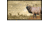 American Expedition Elk Canvas Art, 13 5/8in x 23 5/8in x 1 7/8in 602244