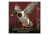 American Expedition Square Coaster, Mallard 602155