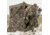 Ameristep Caretaker Blinds, Mossy Oak Break Up Country, AMS-AMEBL3022