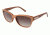 Ann Taylor AT0613S Sunglasses - Frame Warm Sesame TYAT0613S05