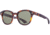AO Times Sunglasses, Tortoise Frame, Calobar Green AOLite Nylon Lens - Polarized - 49-21-145, TIM449ST-GNN-P