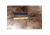Arctic Legend BBQ Stick Curly Birch