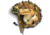 Arid MFG Halo Helmet Scrim
