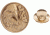 ASP Lapel Pins ASP Eagle 59203