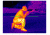 Thor320-4.5x 336x256, 50mm, 60Hz, 17 Micron Thermal Weapon Sight