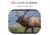 ATN X-Sight 5 LRF 3-15x UHD Smart Day/Night Hunting Rifle Scope, 30mm Tube w/ Gen 5 Sensor, Multiple Patterns &amp; Color Options Reticle, Black, DGWSXS3155LRF