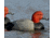 Avery Outdoors Over-Size Redheads, 1/2 dozen, Realistic Postures, 77141