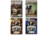 Avery Sporting Dog Retriever Training Basics DVD 89991