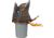 Avian X Power Butt Kicker Mallard Drake 2 Pack