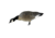Avian X AXP Honker Sentry-Walker, Black, AVX-HONK-6PK