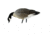 Avian X AXP Honker Sentry-Walker, Black, AVX-HONK-6PK