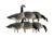 Avian X AXP Lesser Fusion Pack, Black, AVX-LESS-6PK