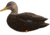 Avian X Fusion Pack AXF Ducks Decoy, Black, AVX-AVX8077