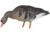 Avian X Fusion Pack AXP Specklebelly Decoy, AVX-AVX9014