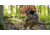 Avian X HDR Strutter Decoy, Synthetic, AVXAVX8108
