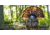 Avian X HDR Strutter Decoy, Synthetic, AVXAVX8108
