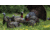 Avian X LCD Strutter Decoy, Synthetic, AVXAVX8004