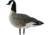 Avian X Outfitter Pack AXF Lessers Decoy, AVX-AVX9033