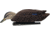 Avian X Power Swimmer Drake Black Duck Decoy