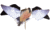Avian X Powerflight Robo Dove Decoy w/ Spinning Wings, AVX-AVXDP102