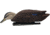Avian X Top Flight Duck Decoy, Flocked Black Duck Floater, 6 pk, AVX-AVX8075