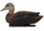 Avian X Top Flight Duck Decoy, Flocked Black Duck Floater, 6 pk, AVX-AVX8075