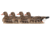 Avian X Topflight Specklebelly Floaters 4 Pack, AVX-SBGF-4PK