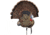 Avian X Turkey Trophy Tom Display Mount/Decoy, Black, AVX-AVX8021