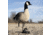 Avian X X-Factor Decoy Motion System, Black, AVX-XFDMS