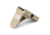 B5 Systems Picatinny GripStop Mod 2 Aluminium Forearm Accessory, Flat Dark Earth, B5APG-1239
