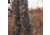 Badlands Silens Pants - Mens, Approach Fx, 3X Large, 21-42186